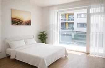 Kiadó Budapest XI. kerületi tégla lakás hirdetés (43833753)