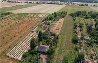 Eladó Oroszlányi hétvégi ház hirdetés (32879694)