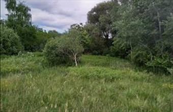 Eladó Oroszlányi lakóövezeti telek hirdetés (74543547)