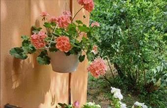 Eladó Budapest I. kerületi tégla lakás hirdetés (93331953)