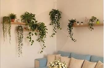 Eladó Budapest V. kerületi tégla lakás hirdetés (75664824)