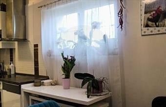 Eladó Szentendrei családi ház hirdetés (94173434)