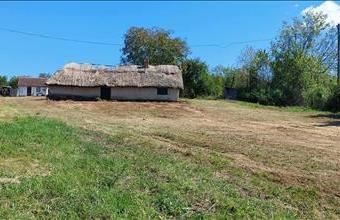 Eladó Balatonberényi külterületi telek hirdetés (99771265)