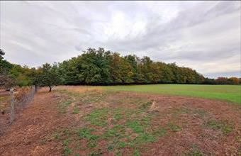 Eladó Kecskeméti külterületi telek hirdetés (34535457)