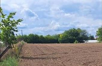 Eladó Kecskeméti külterületi telek hirdetés (47339932)