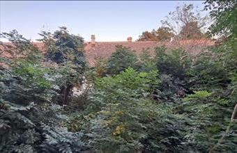 Eladó Csongrádi családi ház hirdetés (53754637)