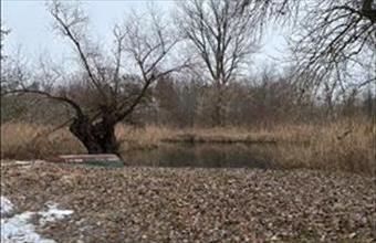 Eladó Dömsödi lakóövezeti telek hirdetés (77551835)