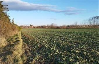 Eladó Hatvani lakóövezeti telek hirdetés (56973456)