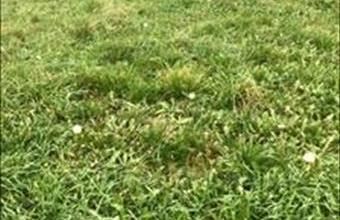 Eladó Szentkirályszabadjai lakóövezeti telek hirdetés (14436578)