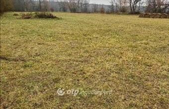 Eladó Budajenői lakóövezeti telek hirdetés (43733764)