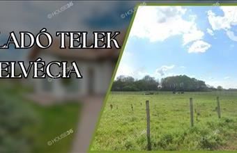 Eladó Kecskeméti külterületi telek hirdetés (42847664)