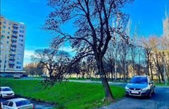 Eladó Debreceni panel lakás hirdetés (28376445)