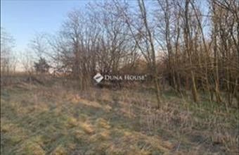 Eladó Őrbottyáni külterületi telek hirdetés (94333986)