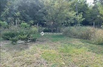 Eladó Nagykőrösi tanya hirdetés (26373837)