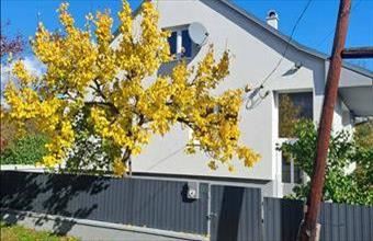 Eladó Füzérkomlósi családi ház hirdetés (53763231)