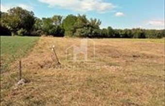 Eladó Csajági lakóövezeti telek hirdetés (45576254)