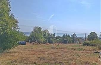 Eladó Balatonalmádi zártkert hirdetés (43853574)