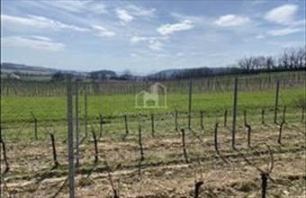 Eladó Szentjakabfai külterületi telek hirdetés (41983593)