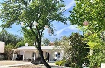 Eladó Lovasi egyéb mezőgazdasági ingatlan hirdetés (33429292)