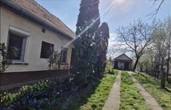 Eladó Tápiószelei családi ház hirdetés (51341463)