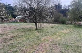 Eladó Debreceni egyéb mezőgazdasági ingatlan hirdetés (87486227)