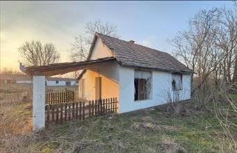 Eladó Sükösdi családi ház hirdetés (79394266)