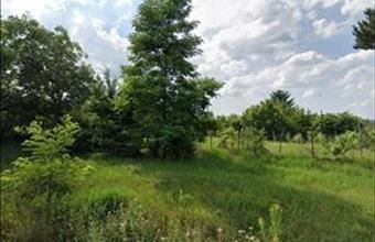 Eladó Solymári lakóövezeti telek hirdetés (51927783)