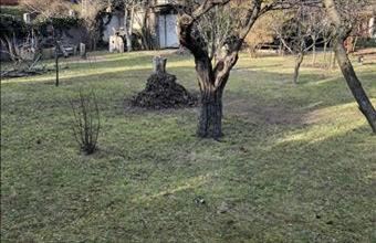 Eladó Budapest III. kerületi lakóövezeti telek hirdetés (17299747)