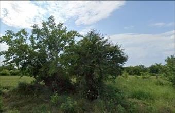 Eladó Siófoki lakóövezeti telek hirdetés (43177574)