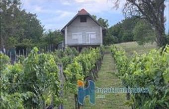 Eladó Alsópáhoki családi ház hirdetés (16368543)