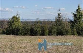 Eladó Alsópáhoki egyéb telek hirdetés (38334563)