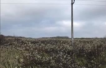 Eladó Keszthelyi egyéb mezőgazdasági ingatlan hirdetés (18583473)