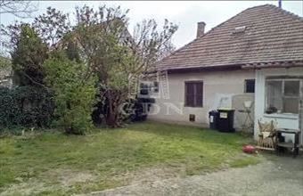 Eladó Gödöllői családi ház hirdetés (72373823)