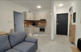 Kiadó Budapest XXIII. kerületi tégla lakás hirdetés (97794777)