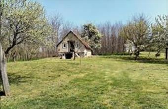 Eladó Balatonberényi egyéb mezőgazdasági ingatlan hirdetés (43363735)