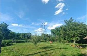 Eladó Zalacsányi külterületi telek hirdetés (69873345)