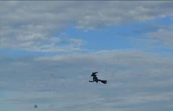 Eladó Balatonkenesei lakóövezeti telek hirdetés (98349581)