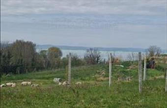 Eladó Balatonszárszói lakóövezeti telek hirdetés (92374532)