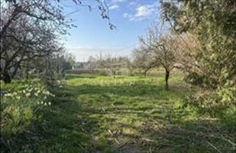 Eladó Kaposvári üdülőövezeti telek hirdetés (67635497)