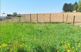 Eladó Tófeji családi ház hirdetés (36852733)