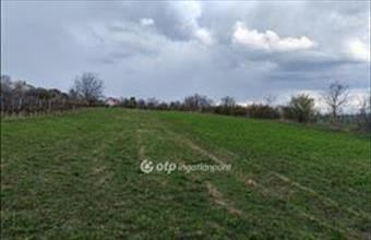 Eladó Töki külterületi telek hirdetés (36533245)
