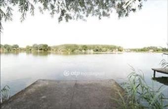 Eladó Dömsödi hétvégi ház hirdetés (16365992)