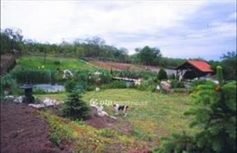 Eladó Vácrátóti lakóövezeti telek hirdetés (37374484)