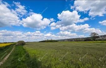 Eladó Mályi lakóövezeti telek hirdetés (25189743)