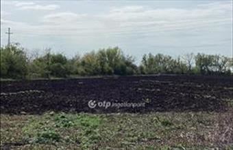 Eladó Gyomaendrődi egyéb mezőgazdasági ingatlan hirdetés (41644489)