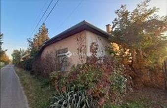 Eladó Tiszaföldvári családi ház hirdetés (99836452)