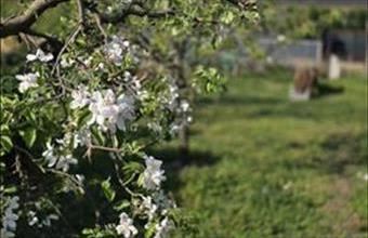 Eladó Budapest XVIII. kerületi családi ház hirdetés (37694222)