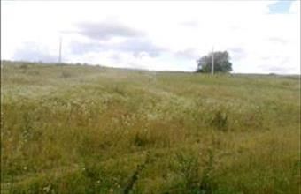 Eladó Őrbottyáni zártkert hirdetés (47887793)