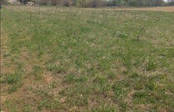 Eladó Ceglédi lakóövezeti telek hirdetés (39348559)