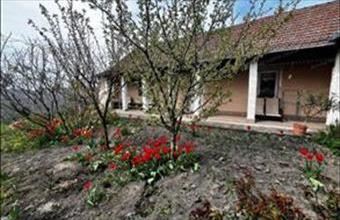 Eladó Alattyáni családi ház hirdetés (95679217)